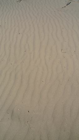 Patara (32)